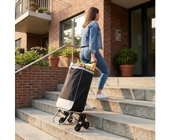 Staircase Trolley Bag