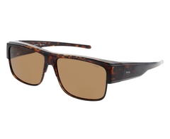 photo of optical frame