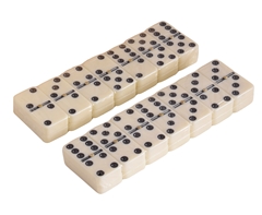 Double Six Dominoe Set