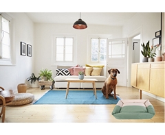 Two-Tone Dog Lounger