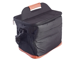 Coolix Lunch Cooler Bag 